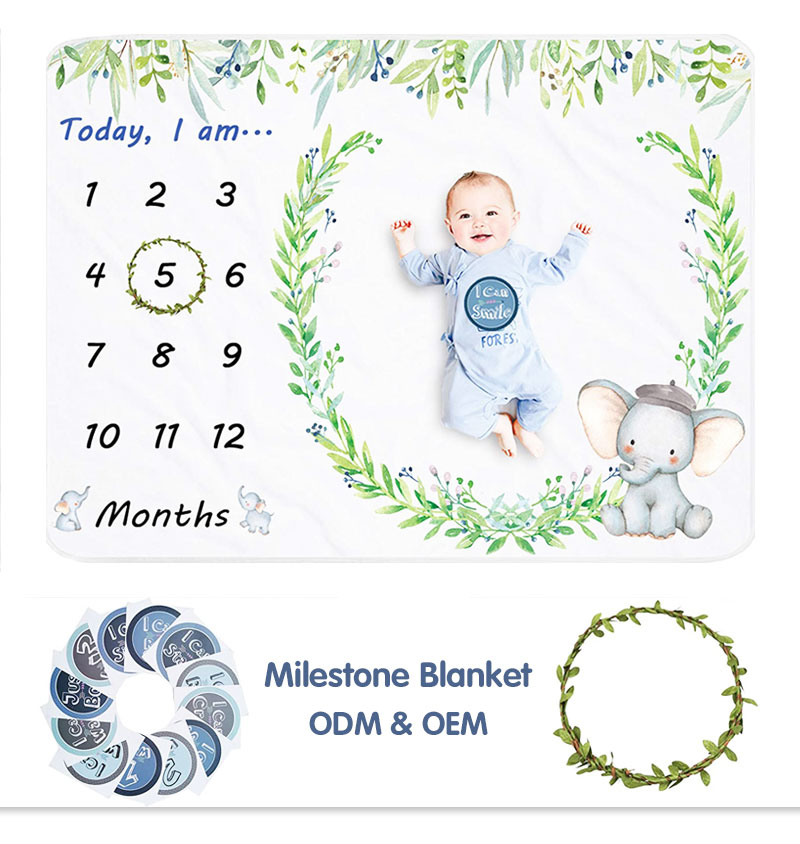 Baby Monthly Milestone Blanket