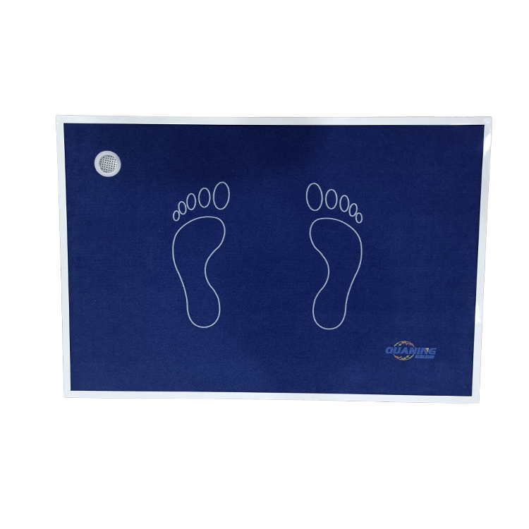 Disinfectant Door Mat