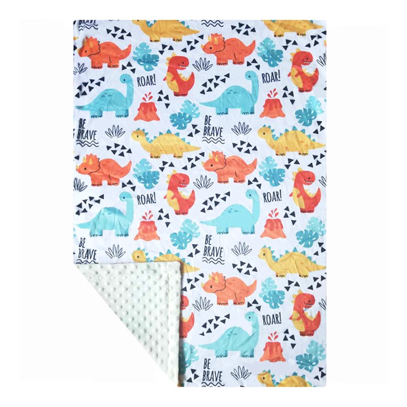 Minky Dot Blanket